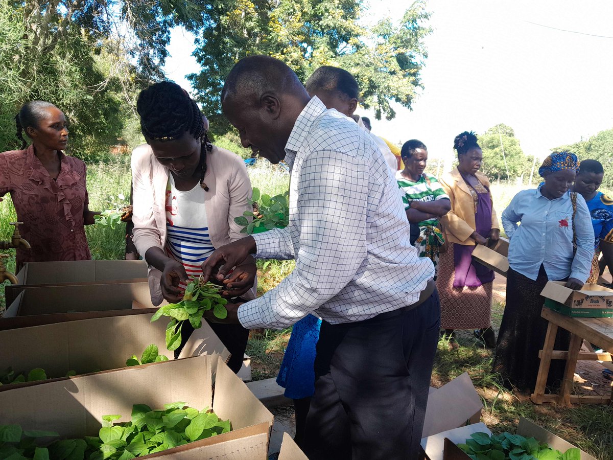 #FieldFriday, This week we’ve gathered members of the community in Kenya’s Makueni County, trained them on kitchen gardens and handed them gunny bags and seedlings to start smart farming for domestic use.