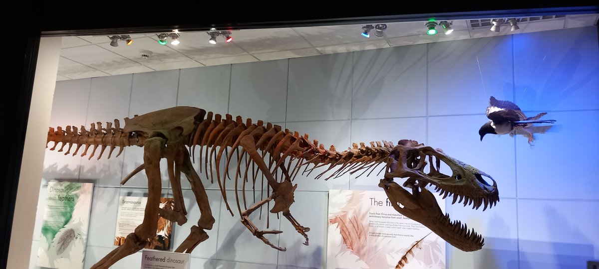 CurateUoL tweet media