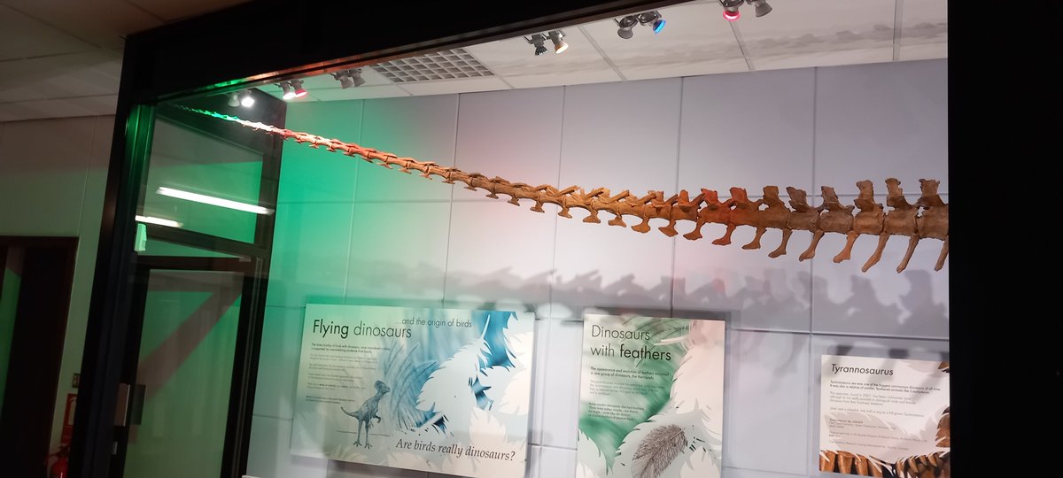 CurateUoL tweet media