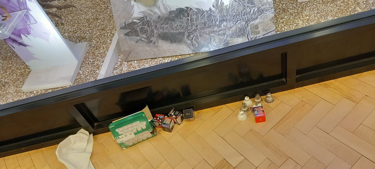 CurateUoL tweet media