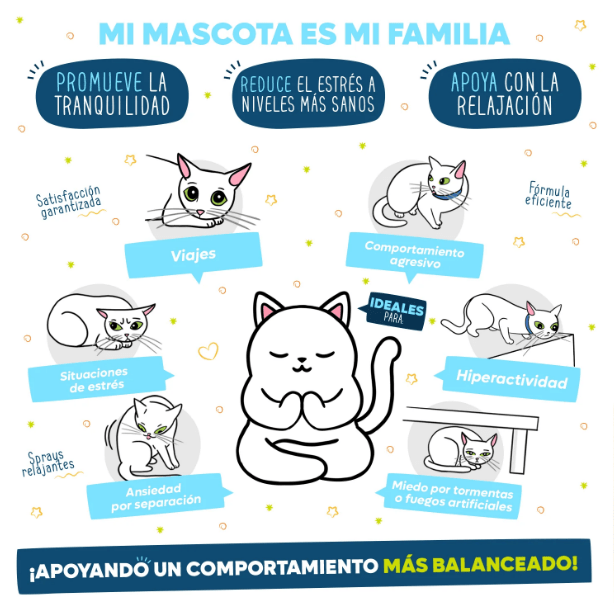 #MascoTips ¿Cómo reducir el estrés en mi gato? 10 Consejos ift.tt/5G0XJxe