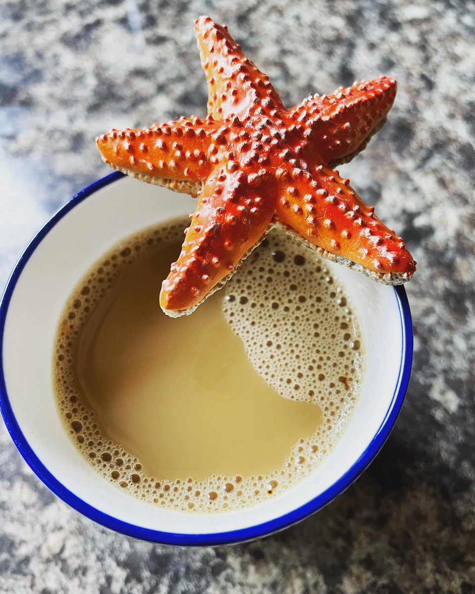 KarmaSingerPaul's tweet photo. Starfish &amp; Coffee for breakfast 📷
I’ve always wanted to try it.
Very nice actually 📷 #starfishandcoffee #Prince #Princeandtherevolution #Princemusic #PaisleyPark #Signothetimes #Karma #Newmusic #Breakfastideas https://t.co/WemvrcJO7s