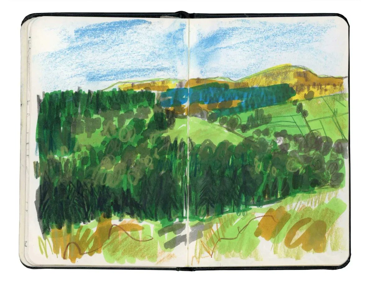 Some scribbles from our adventures at Glenariff Forest Park last weekend ☺️✏️💚