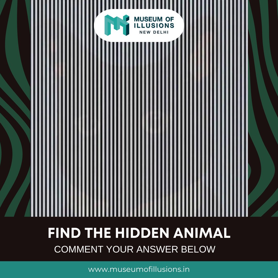 Take a closer look and share your answer below!🕵️‍♀️🔎

Dive into a world of mind-bending illusions at the Museum of Illusion!🌈✨

🎫Book your tickets now : museumofillusions.in/tickets/
.
.
#museumofillusionsnewdelhi #llusion #MindBending #Animal #Creative