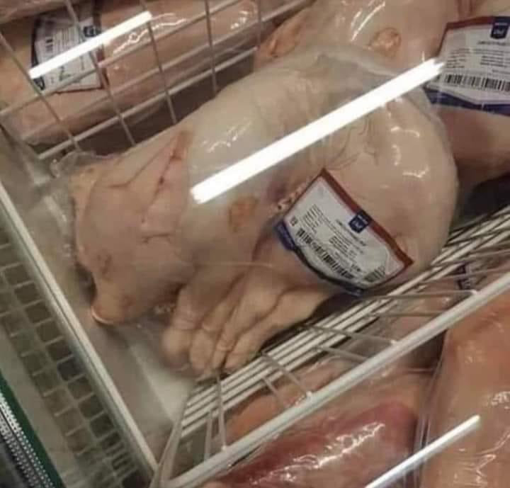 Licypriya Kangujam tweet media