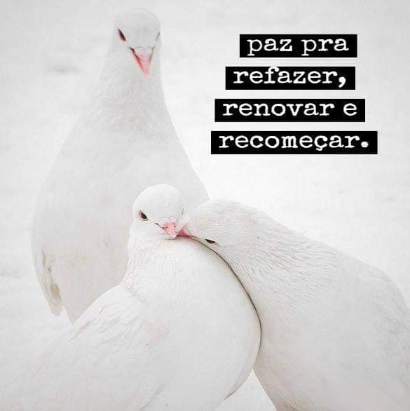 drymonallisa's tweet image. Bom diaa🌺🌺🌺