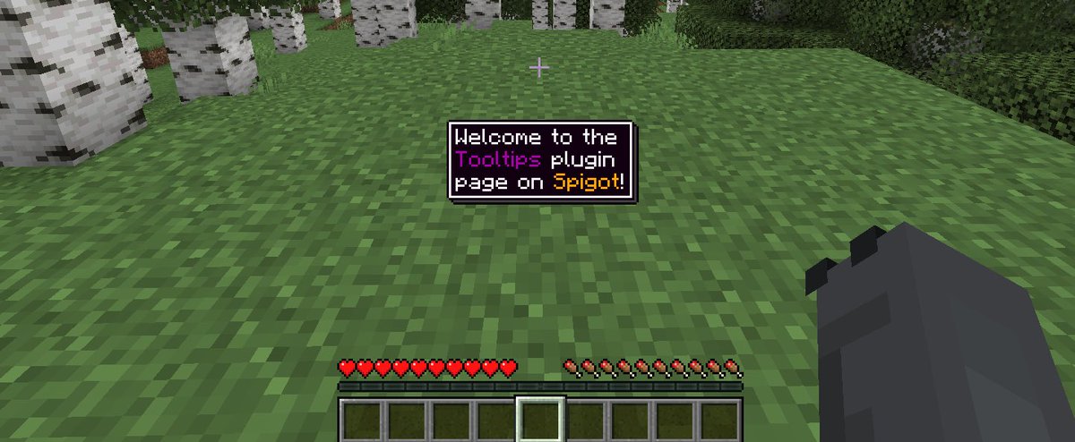 The Tooltips plugin has been approved and released on Spigot!
spigotmc.org/resources/1099…