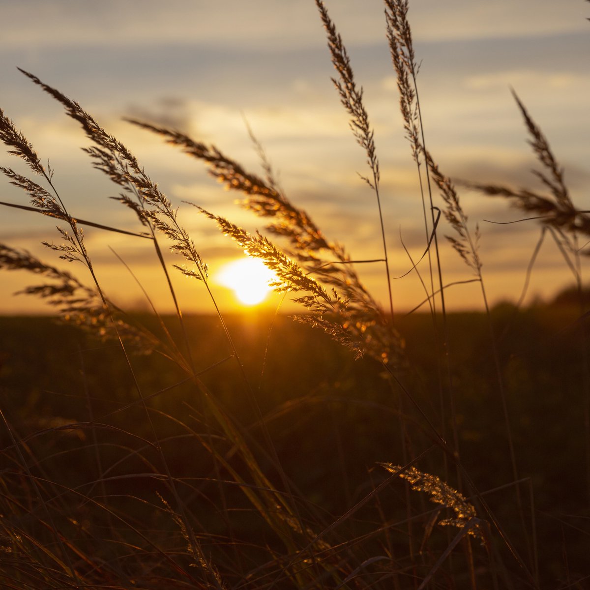 Umudumuzu, hayallerimizi, geleceğimizi zorbalığa teslim etmeyeceğiz. 

Biz bir insanlık hareketiyiz. Biz yenilmezler hareketiyiz.

AYAĞA KALK VE DEĞİŞTİR!

RABE SER PIYAN Û BIGUHERÎNE!