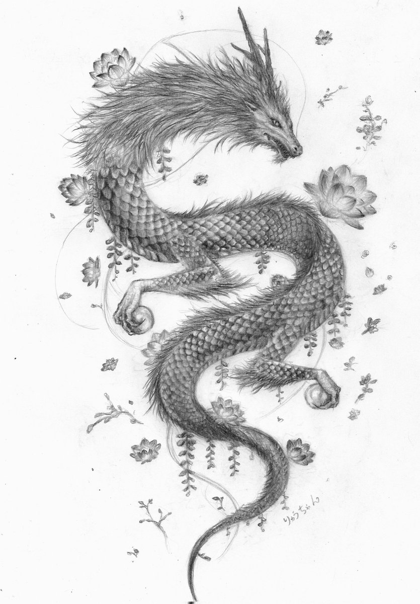 ちーちゃん☺︎シンプルなモノクロ鉛筆画 ちーちゃん☺︎シンプルなモノクロ鉛筆画 ちーちゃん☺︎シンプルな