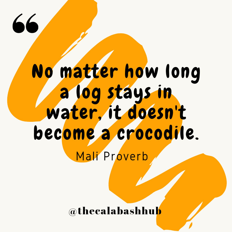 The Calabash Hub tweet media