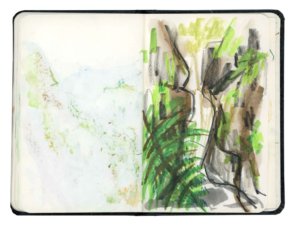 Some scribbles from our adventures at Glenariff Forest Park last weekend ☺️✏️💚
