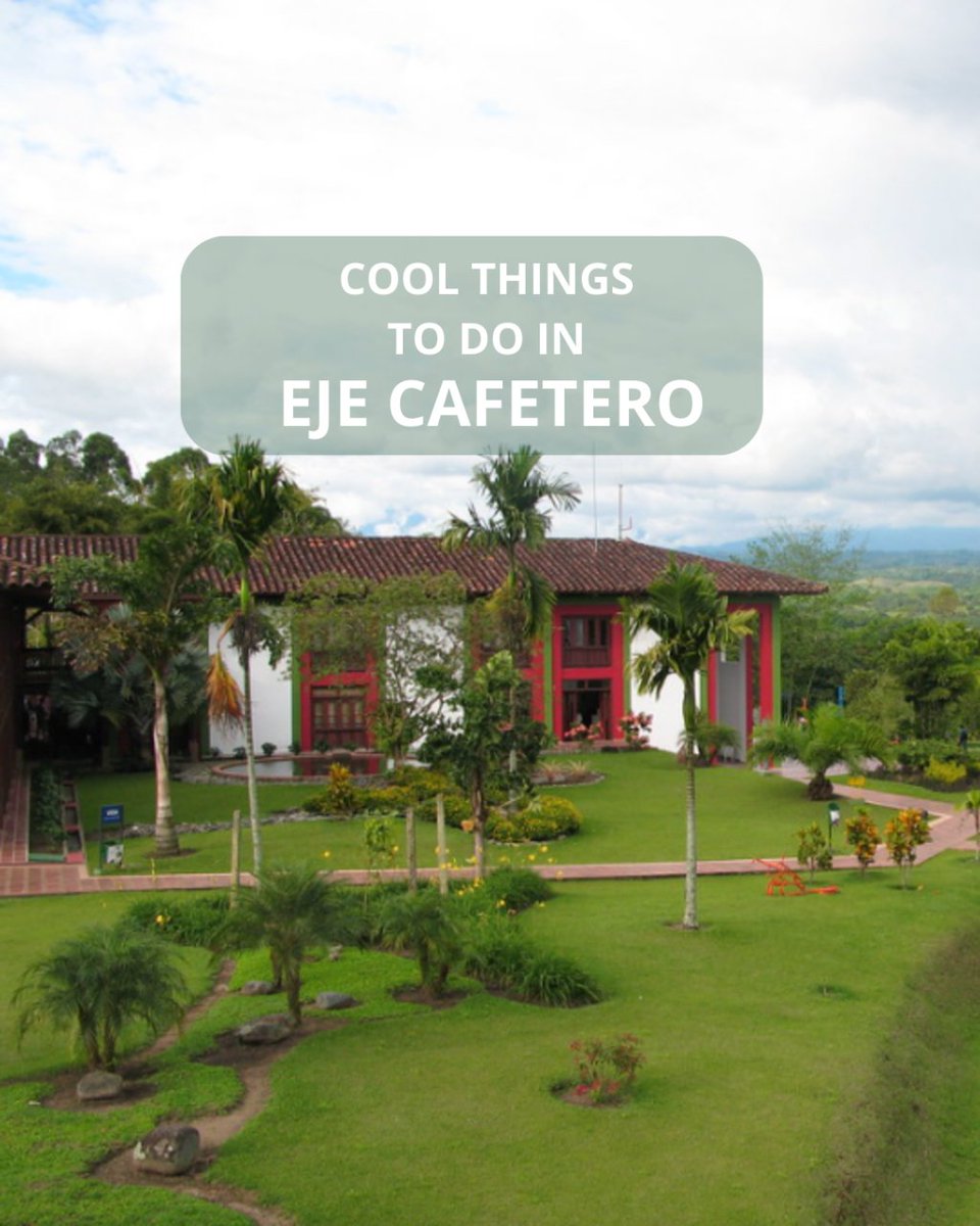 dnacolombia's tweet photo. The Colombian coffee region offers an excellent experience for coffee lovers and nature admirers, this region is perfect for travelers and digital nomads who seek a relaxing time with a good cup of coffee in their hands☕🤎. Have you visited it? ☀️ https://t.co/wN7Sycs4Vw