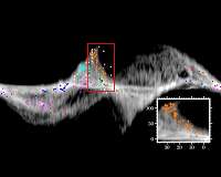 Chinese astronomers transform understanding of Milky Way's spiral structure, Nanjing, China (SPX) May 19, 2023 Chinese astronomers have recently transformed our understanding of the spiral structure of the... tinyurl.com/2jaqkbtv