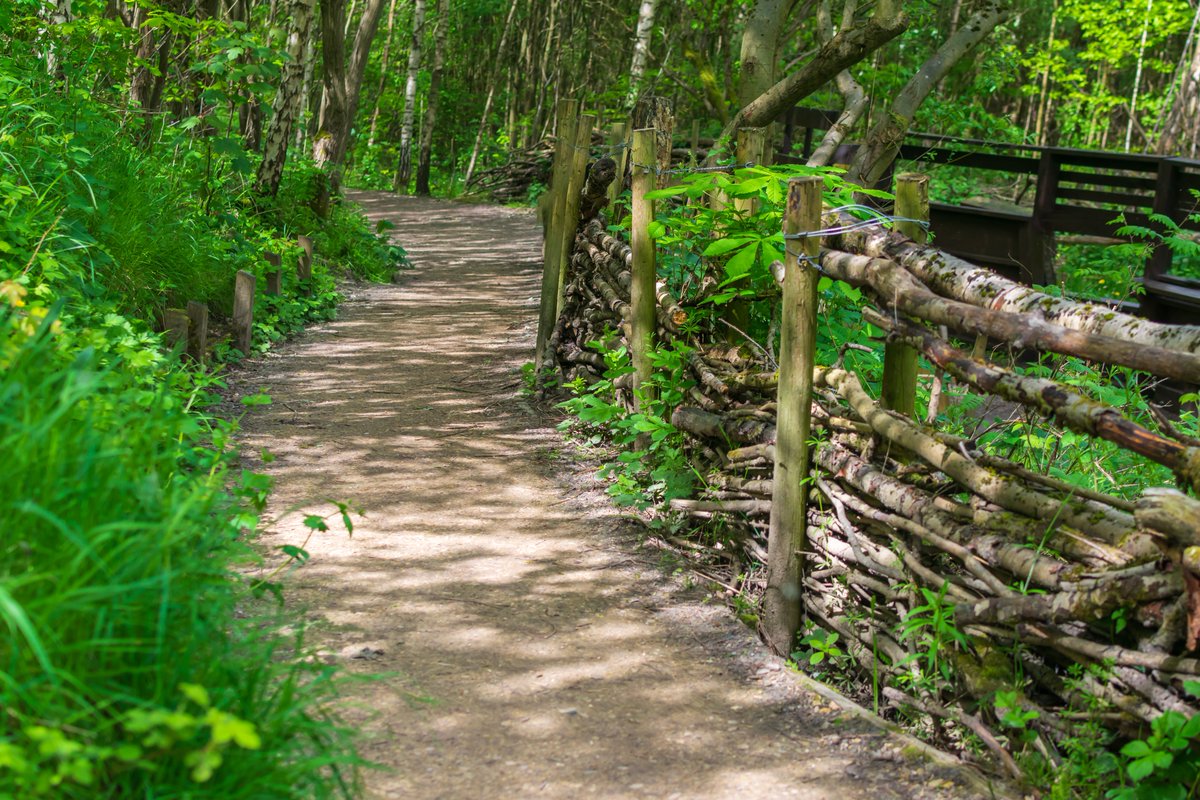 Path at Cromwell Bottom Nature Reserve near the Calder and Hebble Navigation.

<a href="/cbwgrp/">Cromwell Bottom Wildlife Group</a> <a href="/VisitCalderdale/">Visit Calderdale</a> <a href="/DiscoverHx/">Discover Halifax</a> <a href="/Calderdale/">Calderdale Council</a> <a href="/Welcome2Yorks/">Welcome to Yorkshire</a> <a href="/CanalRiverTrust/">Canal & River Trust</a> <a href="/UKNikon/">Nikon UK & Ireland</a> <a href="/NikonProEurope/">Nikon Pro</a> <a href="/nikonownermag/">Nikon Owner</a> #Nikon #NikonD5300 #D5300 #CromwellBottom #Yorkshire #WestYorkshire #Calderdale