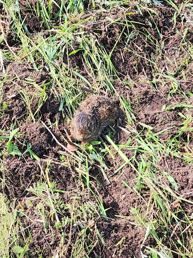 Jan Reinier de Jong tweet media