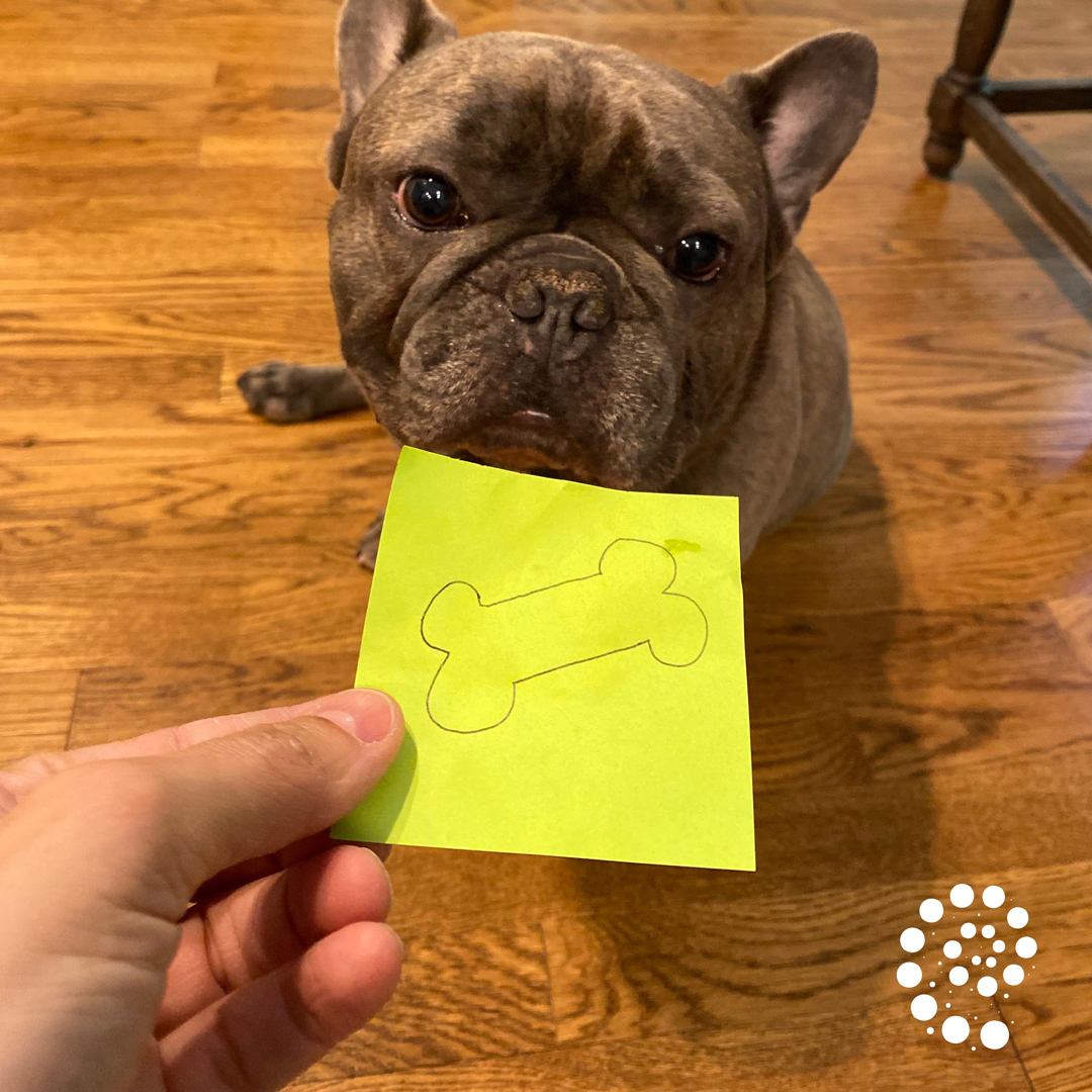 bloommedia's tweet photo. Ahead of #NationalMemoDay (May 21st), Milo (#frenchbulldog), Bloom's Resident Interruption Coordinator, is making sure his message gets across loud and clear #NationalMemoDay2023 #digitalmarketingagencyfun #TGIF2023 https://t.co/RzIrWmElzC