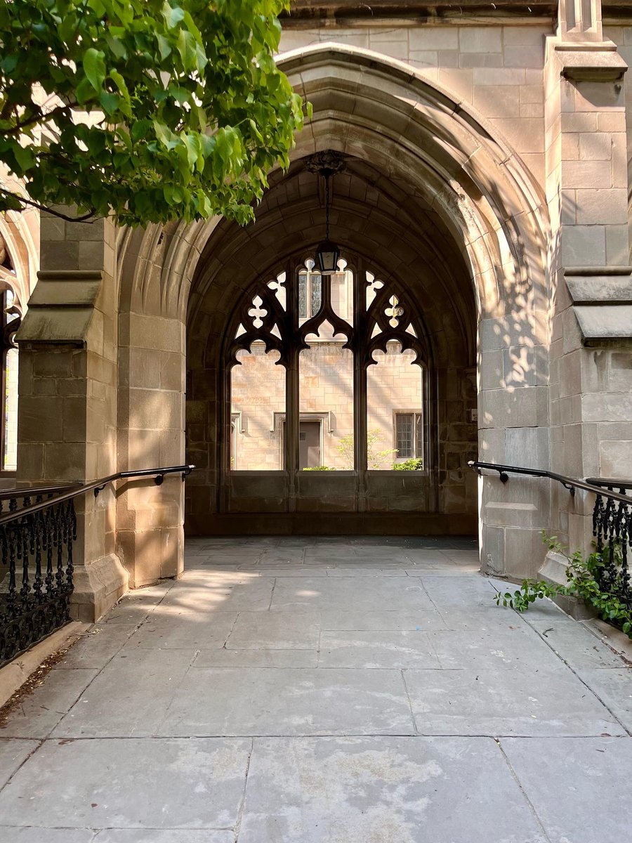 Plant yourself in a sunny spot.

📸: Amanda Huang and Ava Augustine