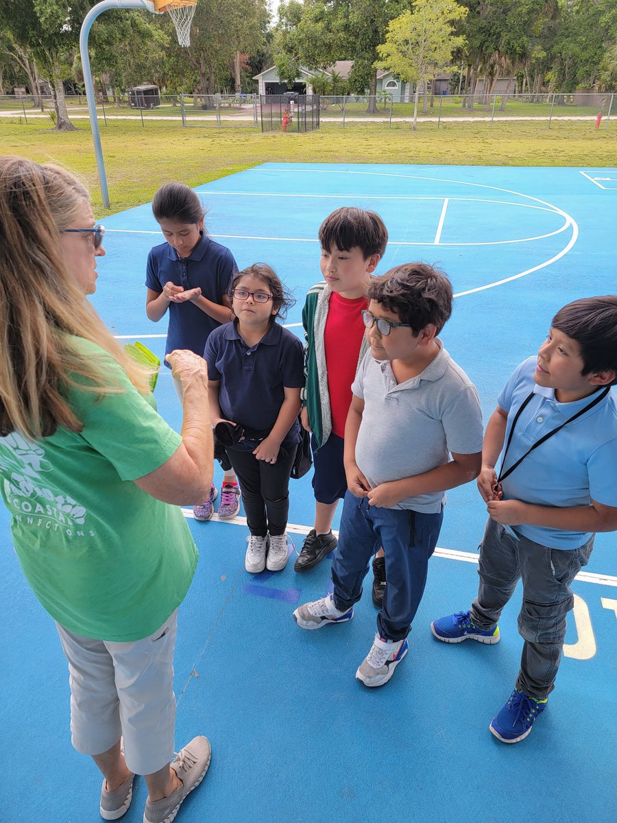 Fellsmere Elementary tweet media
