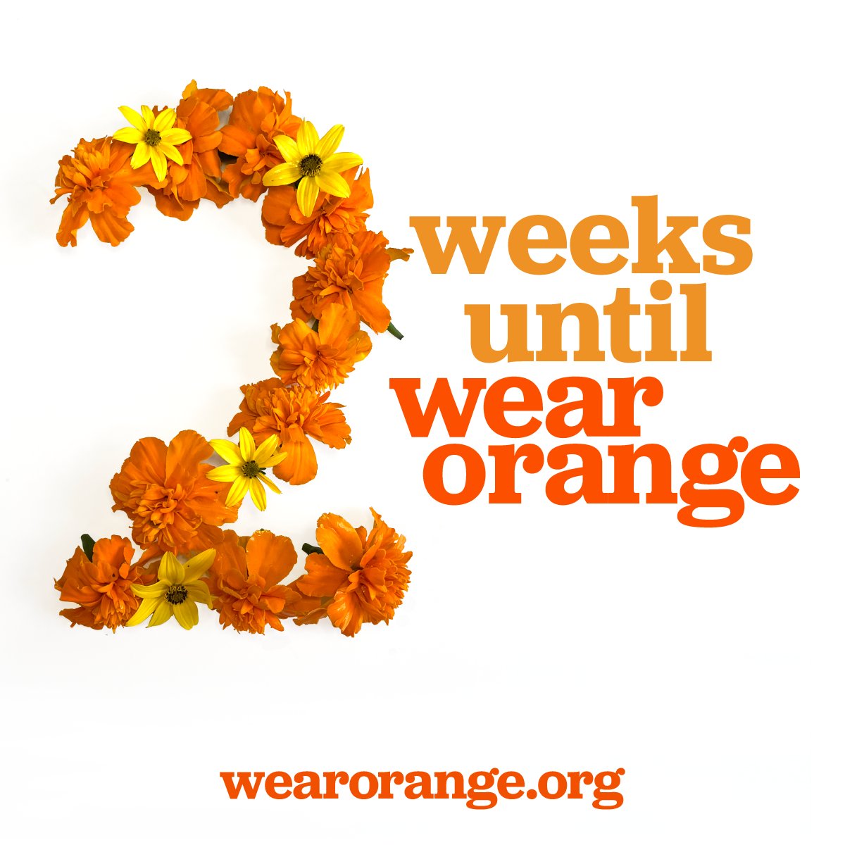 In just two weeks, people across the country will unite to spread awareness about the gun violence crisis that steals 120 lives and wounds hundreds more every day. #WearOrange