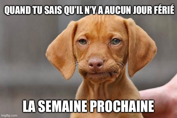 ConsortiumImmobilier tweet media
