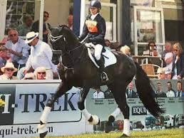 bramhamhorse's tweet photo. In just 3 weeks time, the Stallions will be entering the arena
Stallion AI Services - Whinning Hand
Forinth - Stallion at Stud
Barrowby Thunder Rebel - Connemara stallion
Stallion AI Services - Eros RT
See you at 1pm on Friday
#bramhamhorsetrials #here4horses #stallionparade https://t.co/6FqkAKcIyM