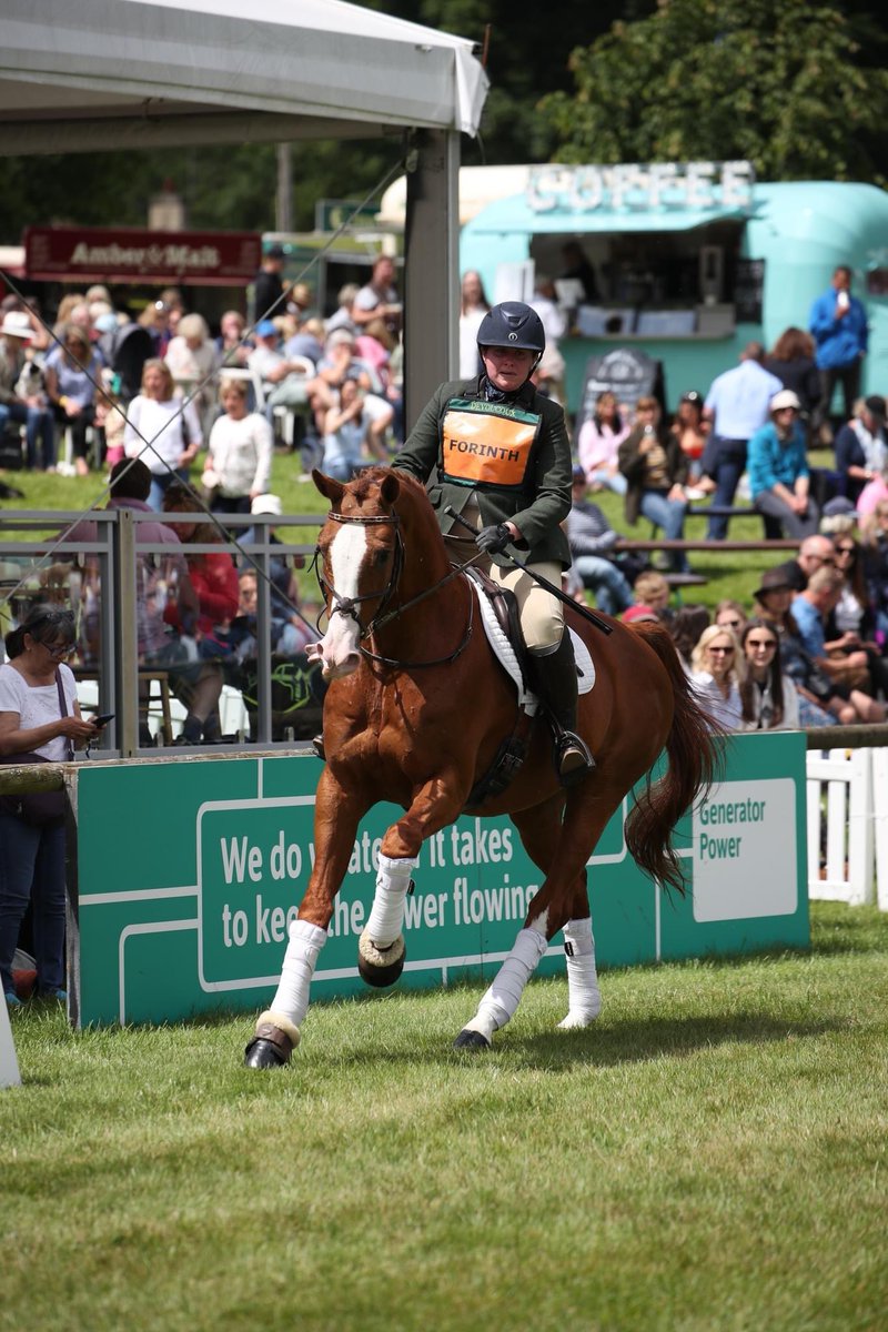 bramhamhorse's tweet photo. In just 3 weeks time, the Stallions will be entering the arena
Stallion AI Services - Whinning Hand
Forinth - Stallion at Stud
Barrowby Thunder Rebel - Connemara stallion
Stallion AI Services - Eros RT
See you at 1pm on Friday
#bramhamhorsetrials #here4horses #stallionparade https://t.co/6FqkAKcIyM