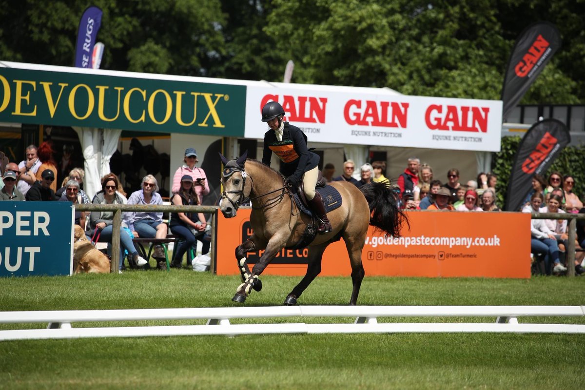bramhamhorse's tweet photo. In just 3 weeks time, the Stallions will be entering the arena
Stallion AI Services - Whinning Hand
Forinth - Stallion at Stud
Barrowby Thunder Rebel - Connemara stallion
Stallion AI Services - Eros RT
See you at 1pm on Friday
#bramhamhorsetrials #here4horses #stallionparade https://t.co/6FqkAKcIyM
