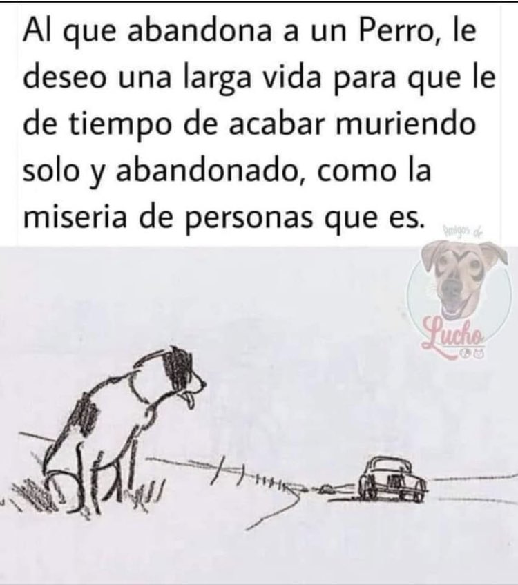 GabrielaVarP's tweet photo. Larga vida en completa SOLEDAD Y TRISTEZA, a quienes abandonan a inocentes animales 🐶🐈‍⬛, que la vida les cobre todas las angustias y tristezas que ocasionan a estos inocentes seres! 
#justicia #Colombia #NoAlAbandono https://t.co/s7hkFnoXV3