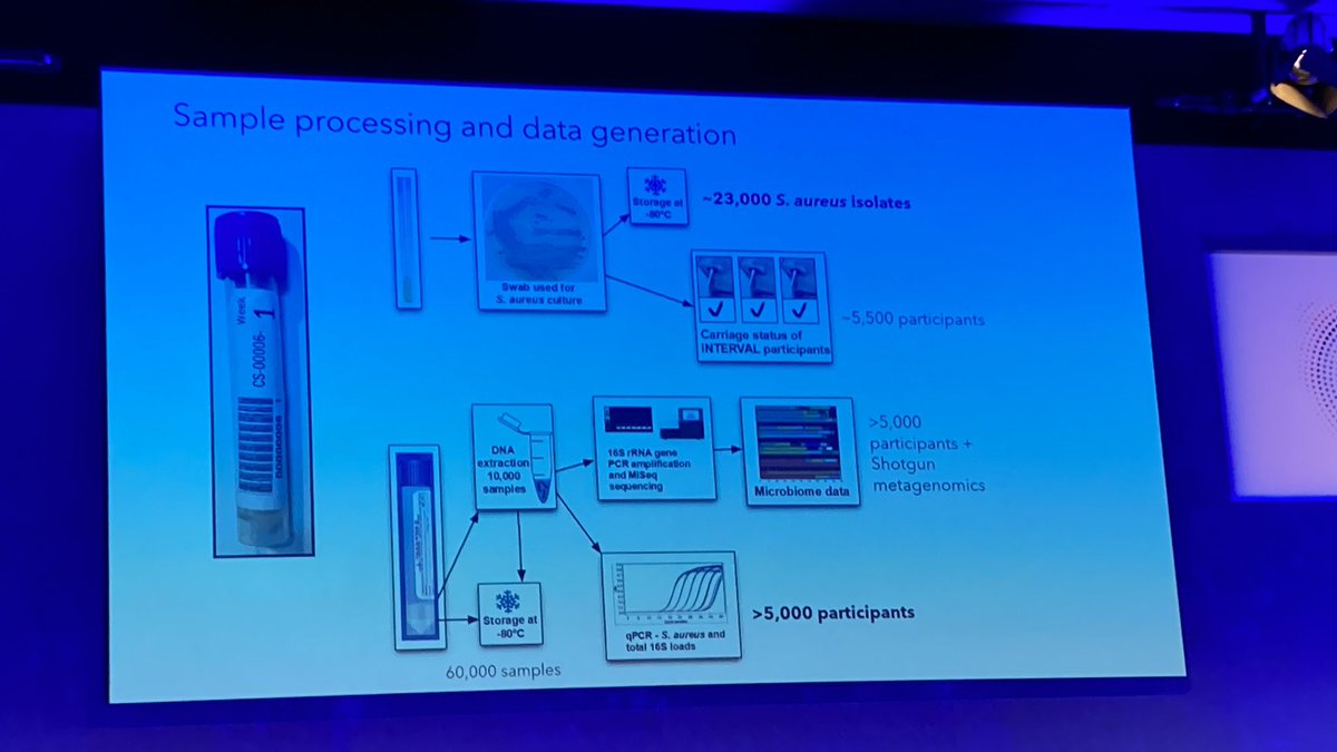 AntibioticLeeds's tweet photo. Colonisation with Staph aureus in 20% of people. Looking at genomics. Higher rates over time. #bsacspring2023 @BSACandJAC https://t.co/yDy3zc5anc