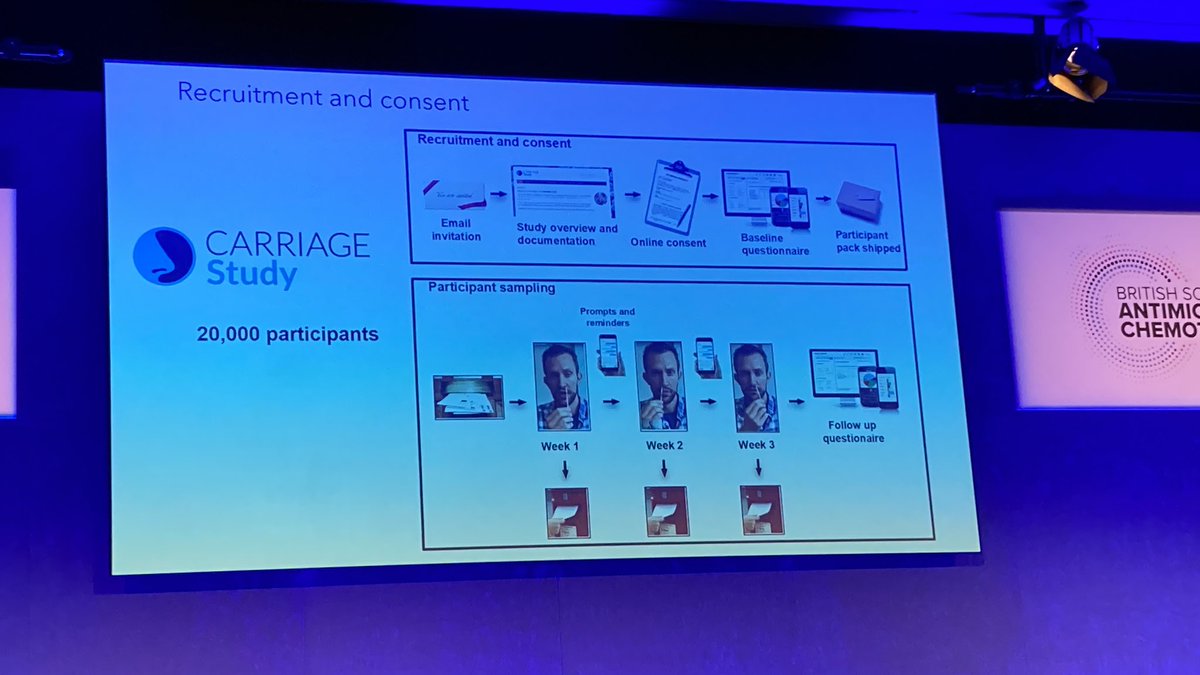 AntibioticLeeds's tweet photo. Colonisation with Staph aureus in 20% of people. Looking at genomics. Higher rates over time. #bsacspring2023 @BSACandJAC https://t.co/yDy3zc5anc