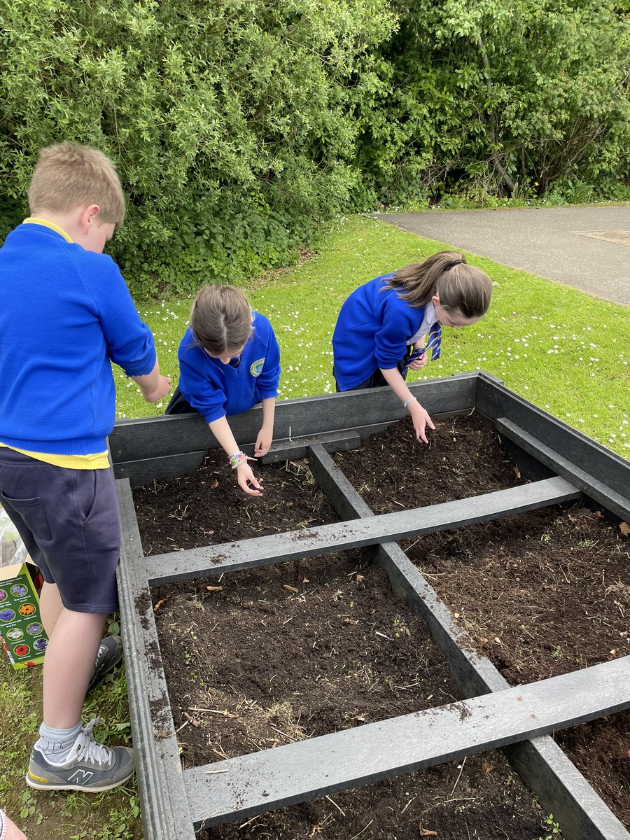 OLQOPPS's tweet photo. The Eco Council making our school beautiful and eco friendly 🌼 today we were planting Wildflowers in our flower bed 🌸🌼🌻
#ecocouncil #flowers #olap 💙💛 https://t.co/0QP3NObYm5
