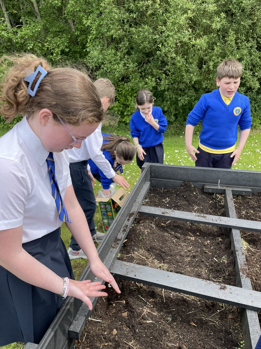 OLQOPPS's tweet photo. The Eco Council making our school beautiful and eco friendly 🌼 today we were planting Wildflowers in our flower bed 🌸🌼🌻
#ecocouncil #flowers #olap 💙💛 https://t.co/0QP3NObYm5