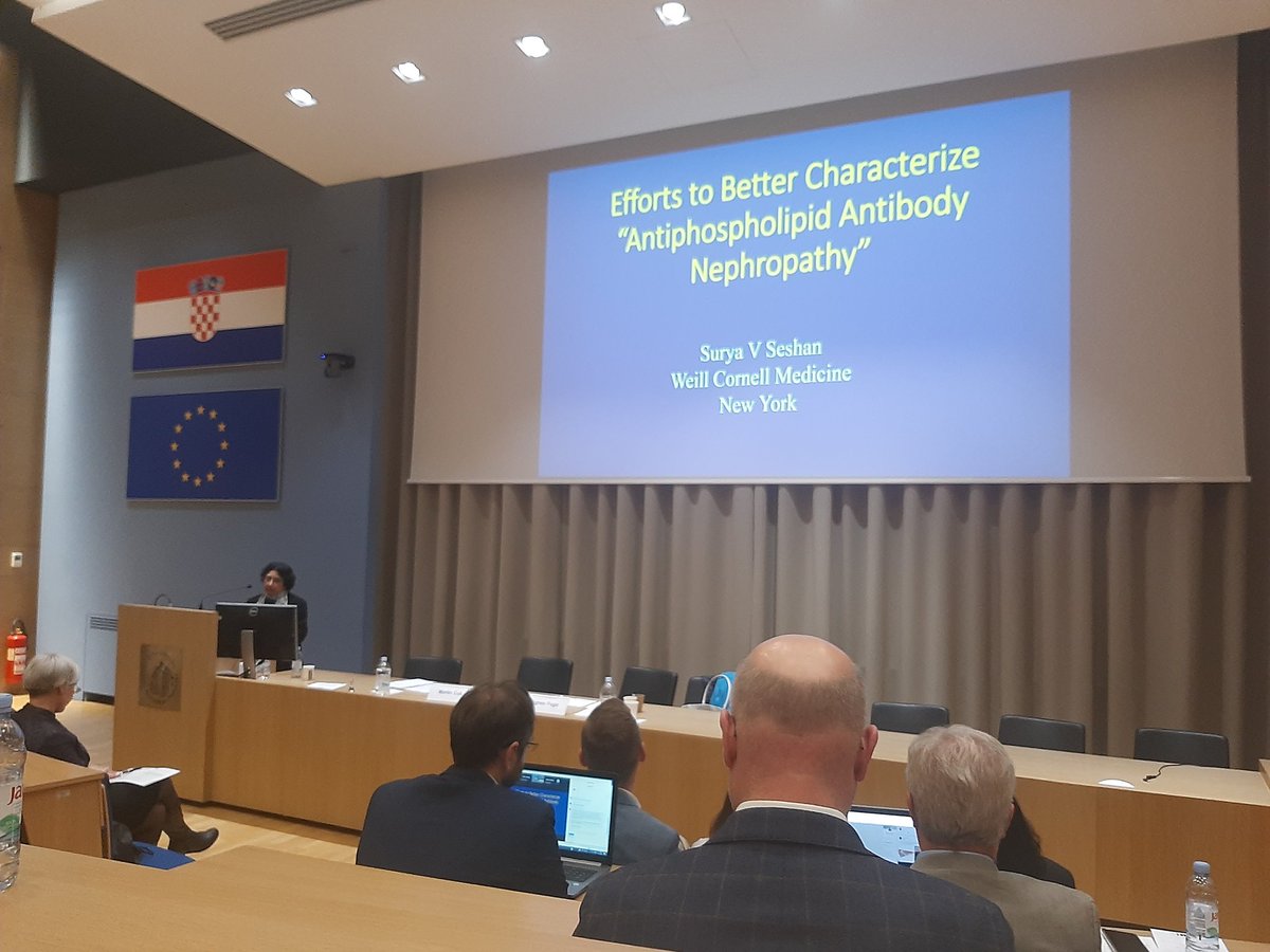 monikediana's tweet photo. Expert session

@ISNkidneycare 
#ThisisISN 
#wheninzagreb
#5thIRPC https://t.co/CVY0YsZJel