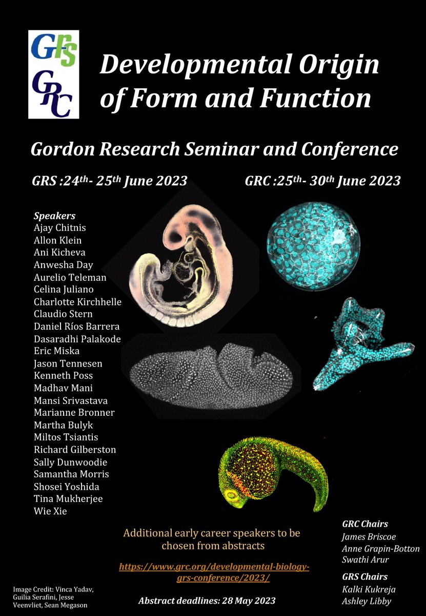 9 days to go! Register by May 28th for Devbio Gordon Conf. Topics: metabolism, gene regulation, regeneration, patterning, signaling, mechanics, transgenerational inheritance, dev diseases!! Hear unpublished work by leading scientist in devbio! grc.org/developmental-… RT 🙏 1/7