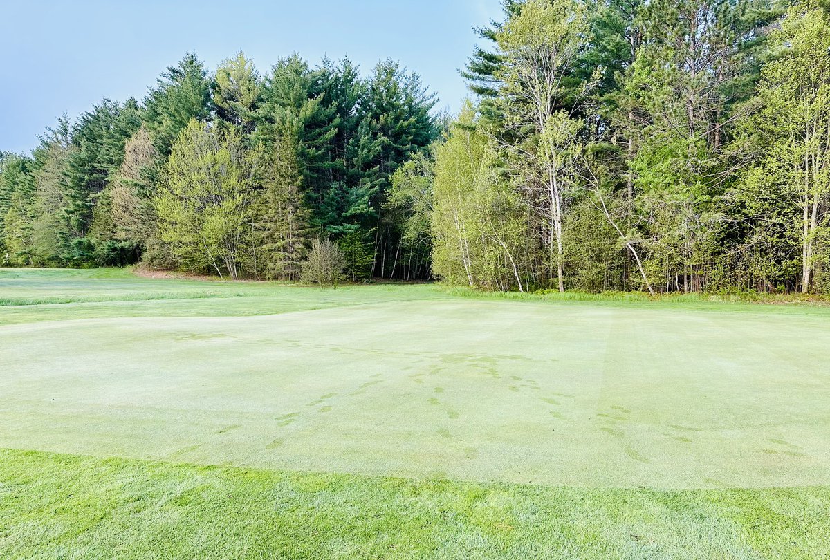 TheRodyssey's tweet photo. 8th green before & after cut & a look down number 8 from behind the green. Happy Friday!! ππΌπ―β³οΈ #golflife #fridaymorning #greenskeeper Stay lifted, stay positive, stay safe! #Mmemberville #StonerFam #GolfersWhoPARtake #Fore20 https://t.co/qW9oj0NAZt