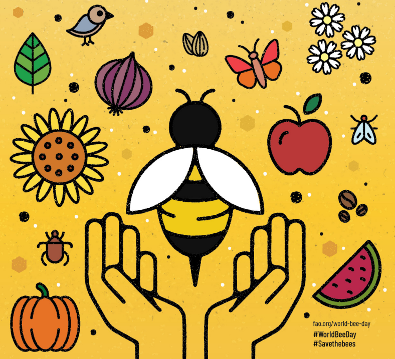 tairseach's tweet photo. May 20th is 'World Bee Day'! Irish bumblebees have wonderful names! How about these: Barbut's Cuckoo, Gypsy Cuckoo, Field Cuckoo, Cryptic White Tail, Great Yellow, Garden, Tree, Mountain white-tail, Red Shanked Carder, Southern Cuckoo! #WorldBeeDay #NoMowMay https://t.co/6FacEisEhY