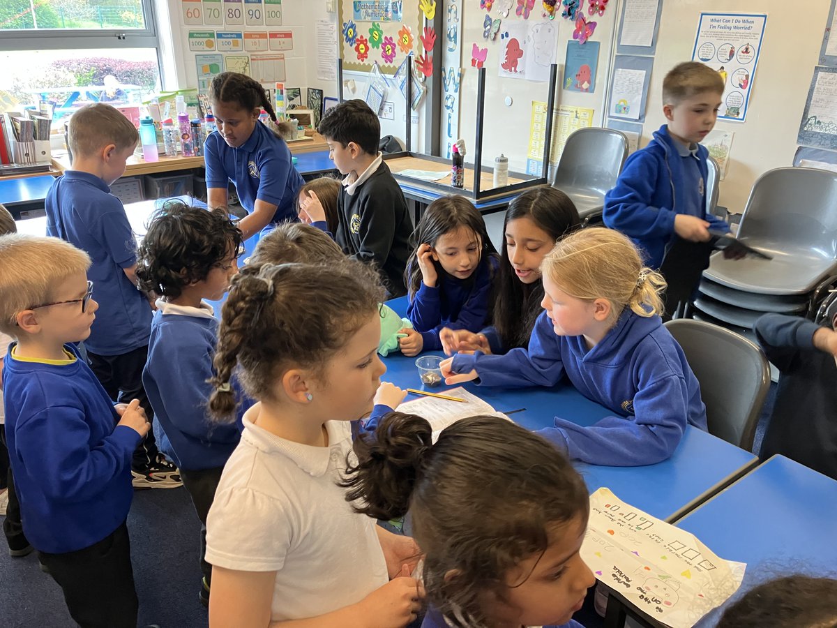 Broomhouse Primary 5 tweet media