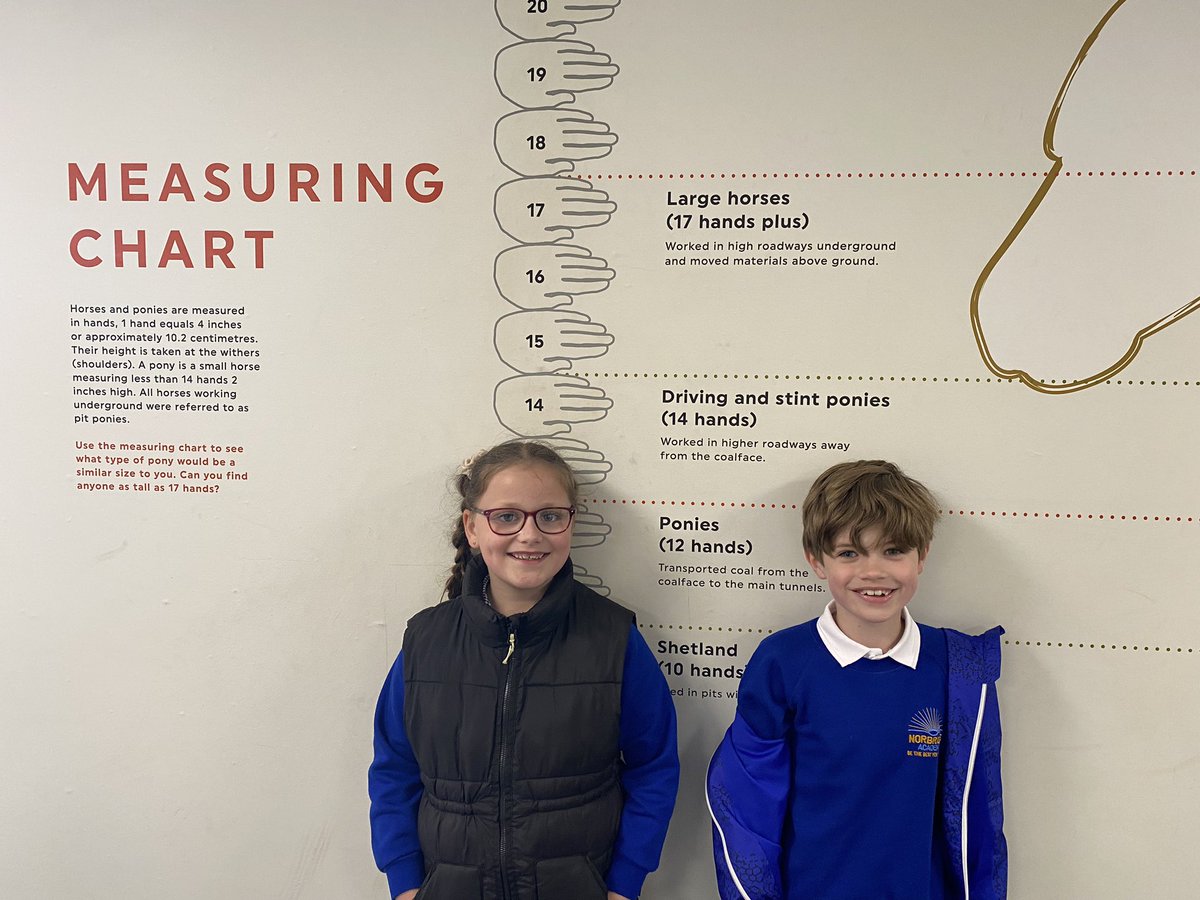 Owl Class tweet media