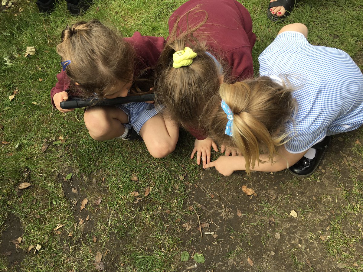 MrsPBHPS's tweet photo. Today, #receptionbhps explored our school grounds for mini beasts. We looked under wood, rocks and in grass areas. We were very brave and some of us held worms, snails and woodlice πͺ±π @BeaufortHillPri https://t.co/NiaK1BHhDi
