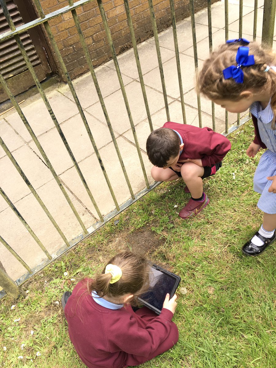 MrsPBHPS's tweet photo. Today, #receptionbhps explored our school grounds for mini beasts. We looked under wood, rocks and in grass areas. We were very brave and some of us held worms, snails and woodlice πͺ±π @BeaufortHillPri https://t.co/NiaK1BHhDi