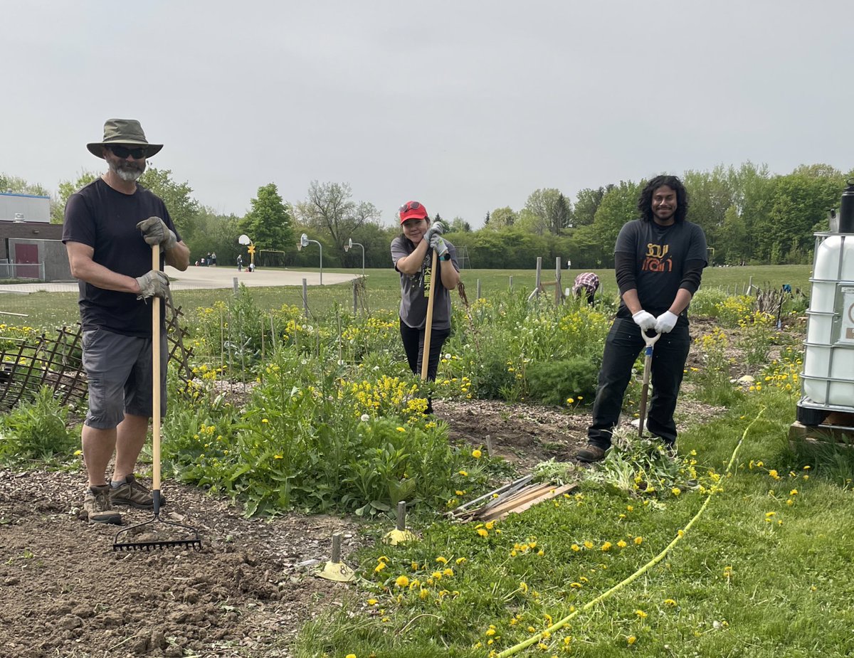 Village #Coop #CommunityGarden open for 2023 season &amp; lots of hands on site working today, looking forward to garden->table #food production! <a href="/RalfMesenbrink/">Ralf Mesenbrink (he/him)</a> <a href="/LBusuttil/">Councillor Linda Busuttil (she/her) #GuelphWard4</a> <a href="/stpetersaints/">St. Peter Catholic School, Guelph</a> <a href="/WellingtonCath/">Wellington Catholic DSB</a> @OurFoodFuture <a href="/cityofguelph/">City of Guelph</a> <a href="/CamGuthrie/">Mayor Cam Guthrie</a> #Guelph