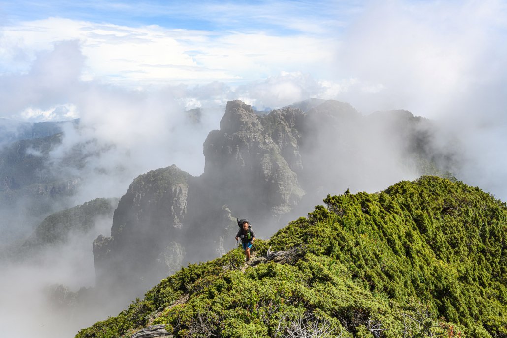 RadioTaiwan_Eng's tweet photo. The #HolyRidge Trail in #Sheipa National Park so named because it follows the ridgeline between #SnowMountain and #Dabajian Mountain. It is located in #Miaoli in the indigenous #Atayal peoples land area and is also referred to as #Shengleng. #WhereinTaiwan 📷@TWadventures https://t.co/AK2ltrr1qn