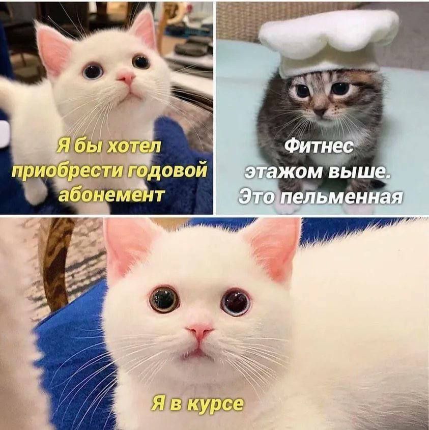 nesslessi's tweet photo. это Цзаньцзинь https://t.co/1jGKpRbQcG