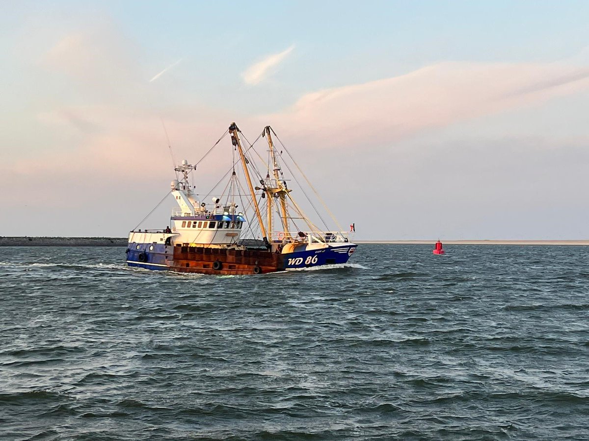 LuytGroep's tweet photo. Mooi beeld van #zee🌊
Ierse #scalloper WD-86 "Lady Lu" stoomt over het Wad naar #DenOever voor snelle #reparatie #beunkoeler & dokbeurt. Fijn weerzien met de gebroeders Moore & bemanning. Welkom!
Irish scalloper WD-86 "Lady Lu" heads to the #LUYT #yard for bixcooler repairs
🍀 https://t.co/pGzNM4wcjN