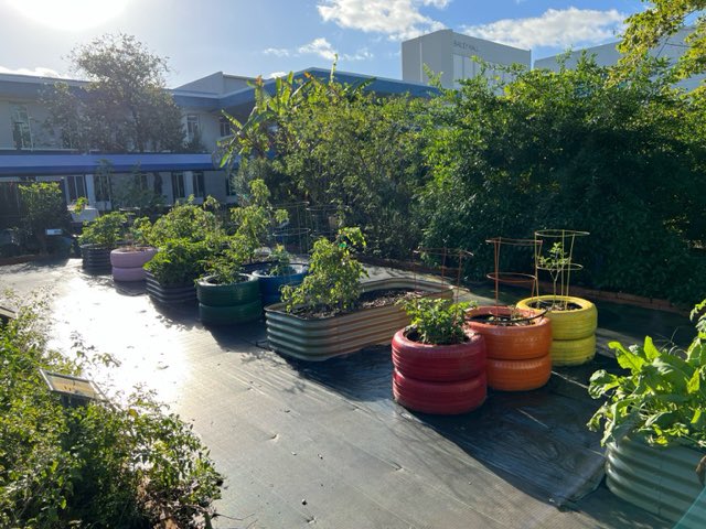 bc_science_well's tweet photo. Discover Broward College's hidden gem - The Environmental Science Garden, it is a living testament to our commitment to environmental stewardship. Together, we can make a difference for a greener and brighter future! 🌎💪 #ESBSprogram #browardcollege https://t.co/ONkcaDPdT2