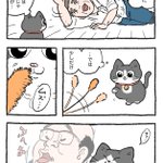 「ねこ転」その104が公開!猫じゃらしで遊んでいたプンちゃんですが…!？