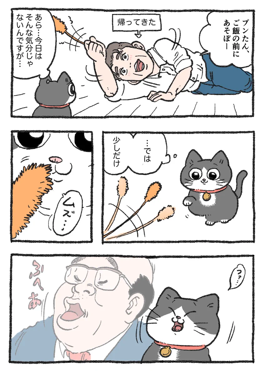 「ねこ転」その104が公開！猫じゃらしで遊んでいたプンちゃんですが…！？