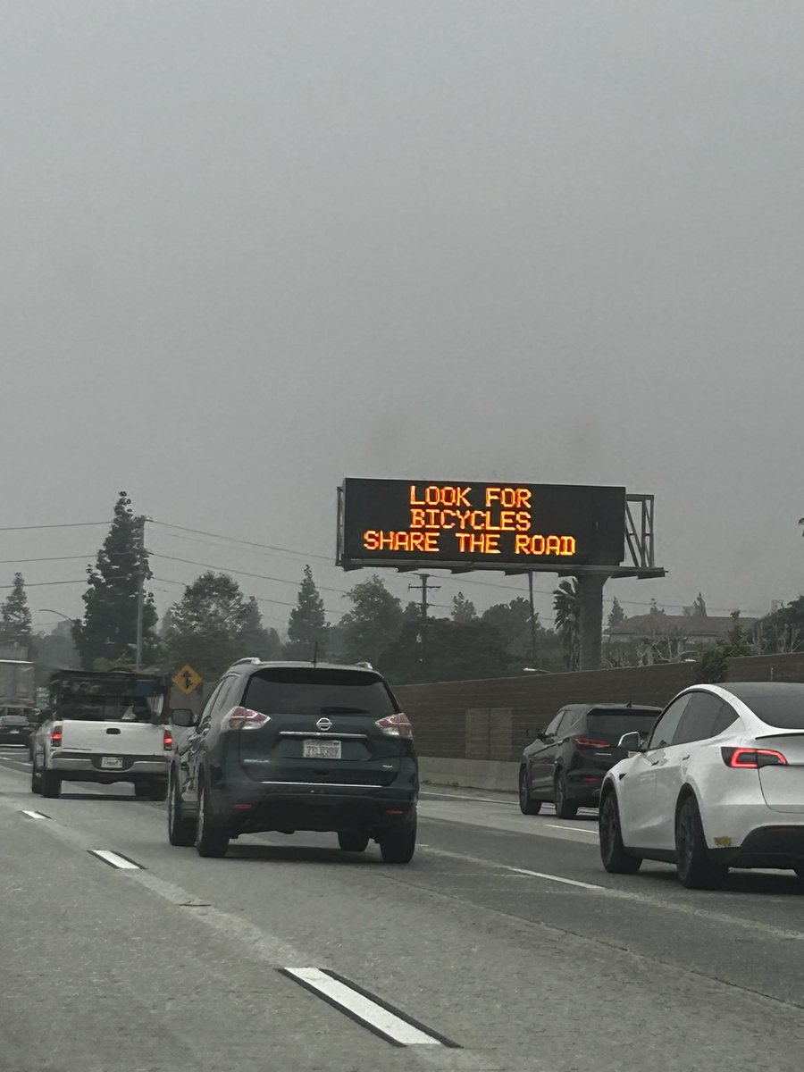 angelinabaray tweet media