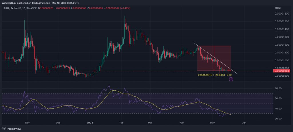 CryptoBangs! tweet media