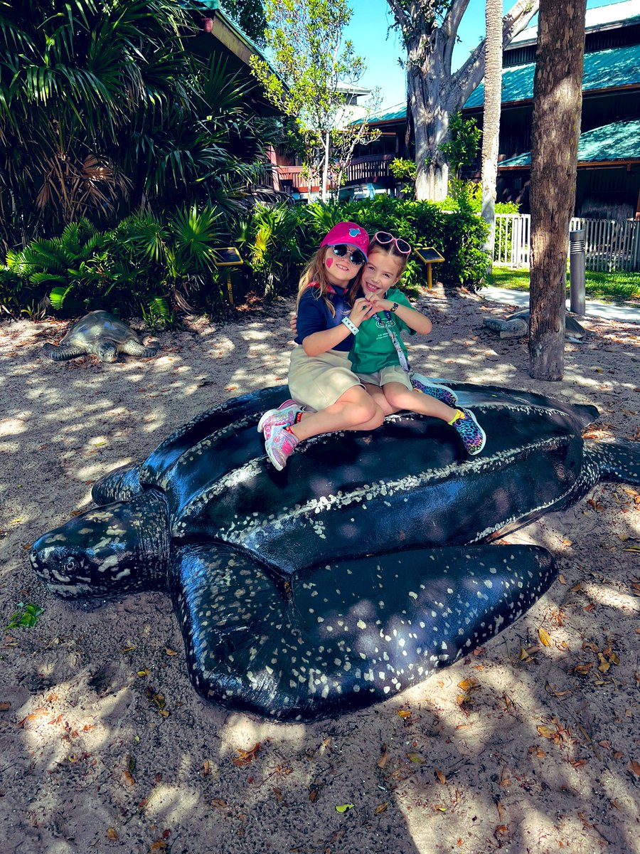 We had so much fun visiting <a href="/GumboLimboNC/">Gumbo Limbo Nature Center</a> yesterday! The <a href="/CityBocaRaton/">City of Boca Raton</a> has so much to explore! Thank you for an amazing educational #fieldtrip for our <a href="/ADHUS_FAUHS/">ADHUS & FAU HS</a> first graders! 🐢 🐟 🐙